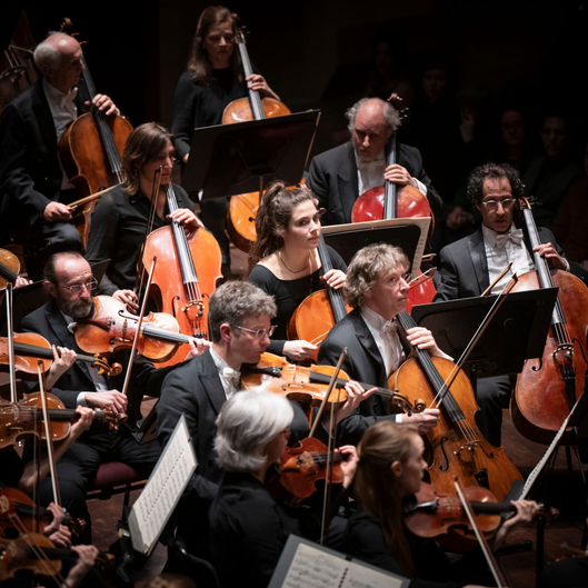 Koepelconcert Donker en licht