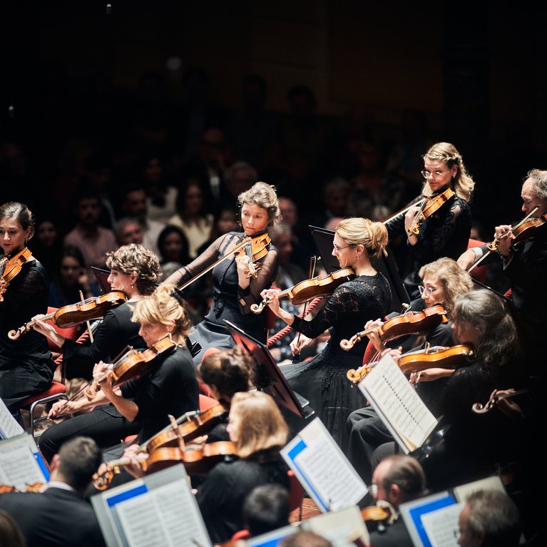 Netherlands Philharmonic Netherlands Chamber Orchestra