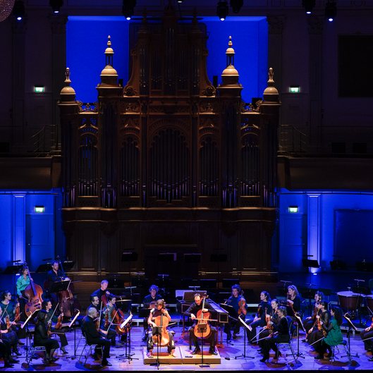 Nederlands Kamerorkest © Elmer van der Marel