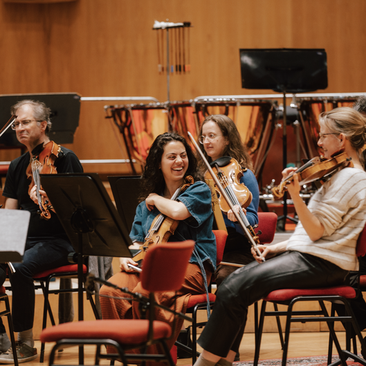 Nederlands Kamerorkest © Jose Manuel Acevedo