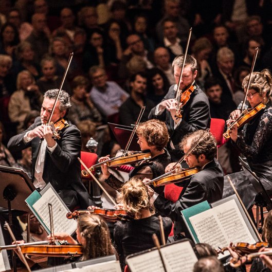 Nederlands Philharmonisch