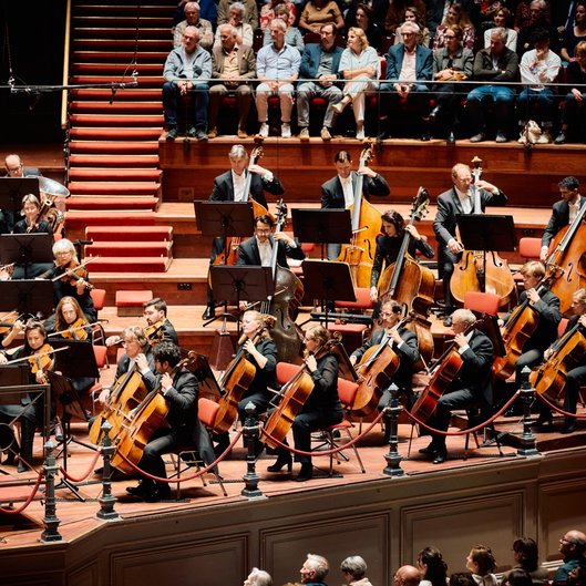 Vacature Solo cello 60 © Eduardus Lee