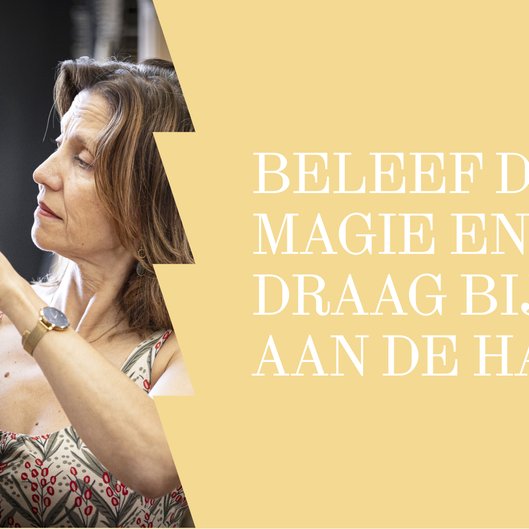 Website header-Crowdfunding_ Beleef de magie en draag bij aan de harp