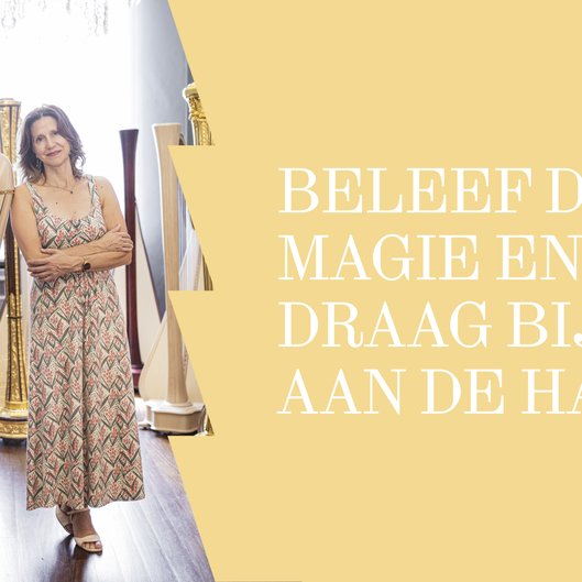 Website header harp crowdfunding