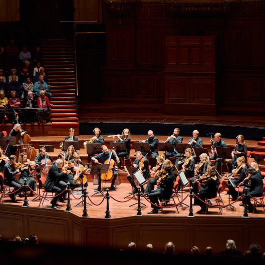 Het Nederlands Kamerorkest