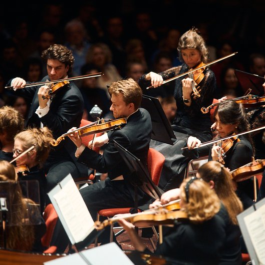 Groep violisten speelt tijdens een concert