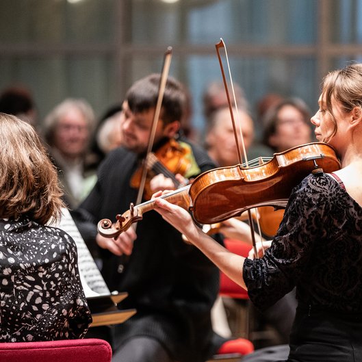Nederlands Philharmonisch in de NedPhO-Koepel © Melle Meivogel